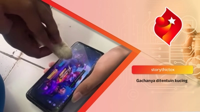 Gachanya ditentuin kucing