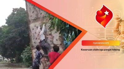 Latihan wal climbing