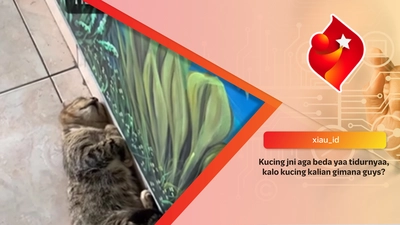 Kucing jni aga beda yaa tidurnyaa, kalo kucing kalian gimana guys?