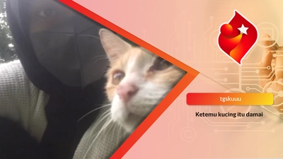 Ketemu kucing itu damai