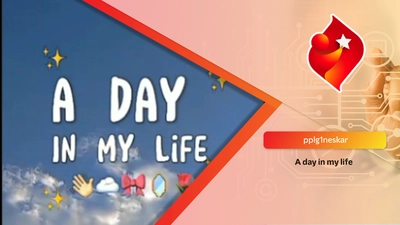 A day in my life