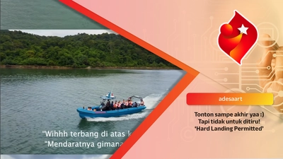 'Hard Landing Permitted'